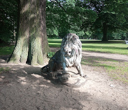 Blohms Park photo