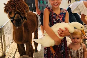 Garden of Eden Mobile Petting Zoo & Alpaca Experience image