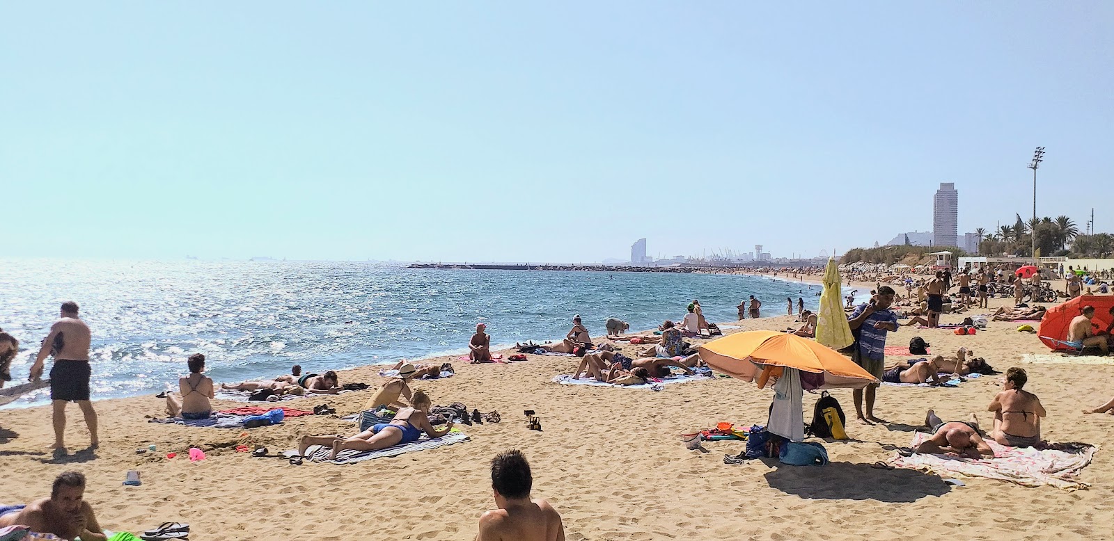 Photo of Platja de la Mar Bella with very clean level of cleanliness