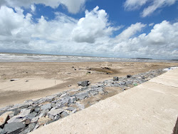 Photo of Talasari Beach with spacious shore