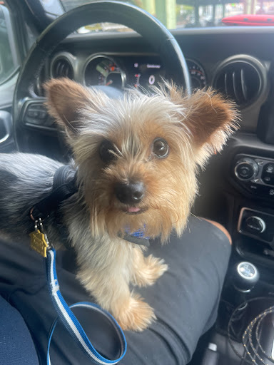 Pet Supply Store «PetSmart», reviews and photos, 238 Atlantic Ave, Brooklyn, NY 11201, USA