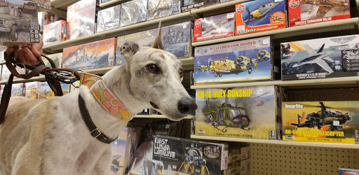 Craft Store «Hobby Lobby», reviews and photos, 2480 Supercenter Dr NE, Kannapolis, NC 28083, USA