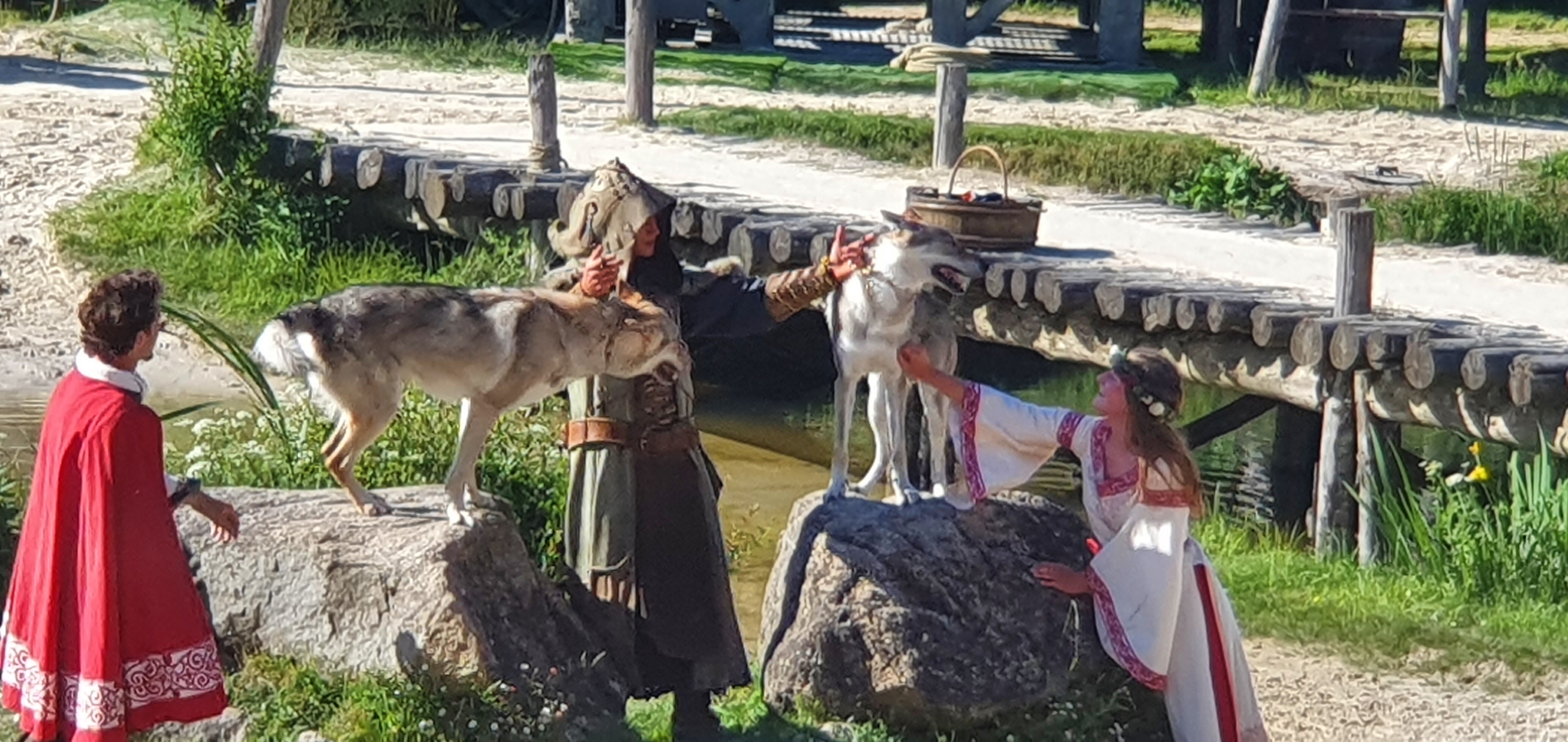 Photo n° 5 de l'avis de Noémie. fait le 14/08/2021 à 13:27