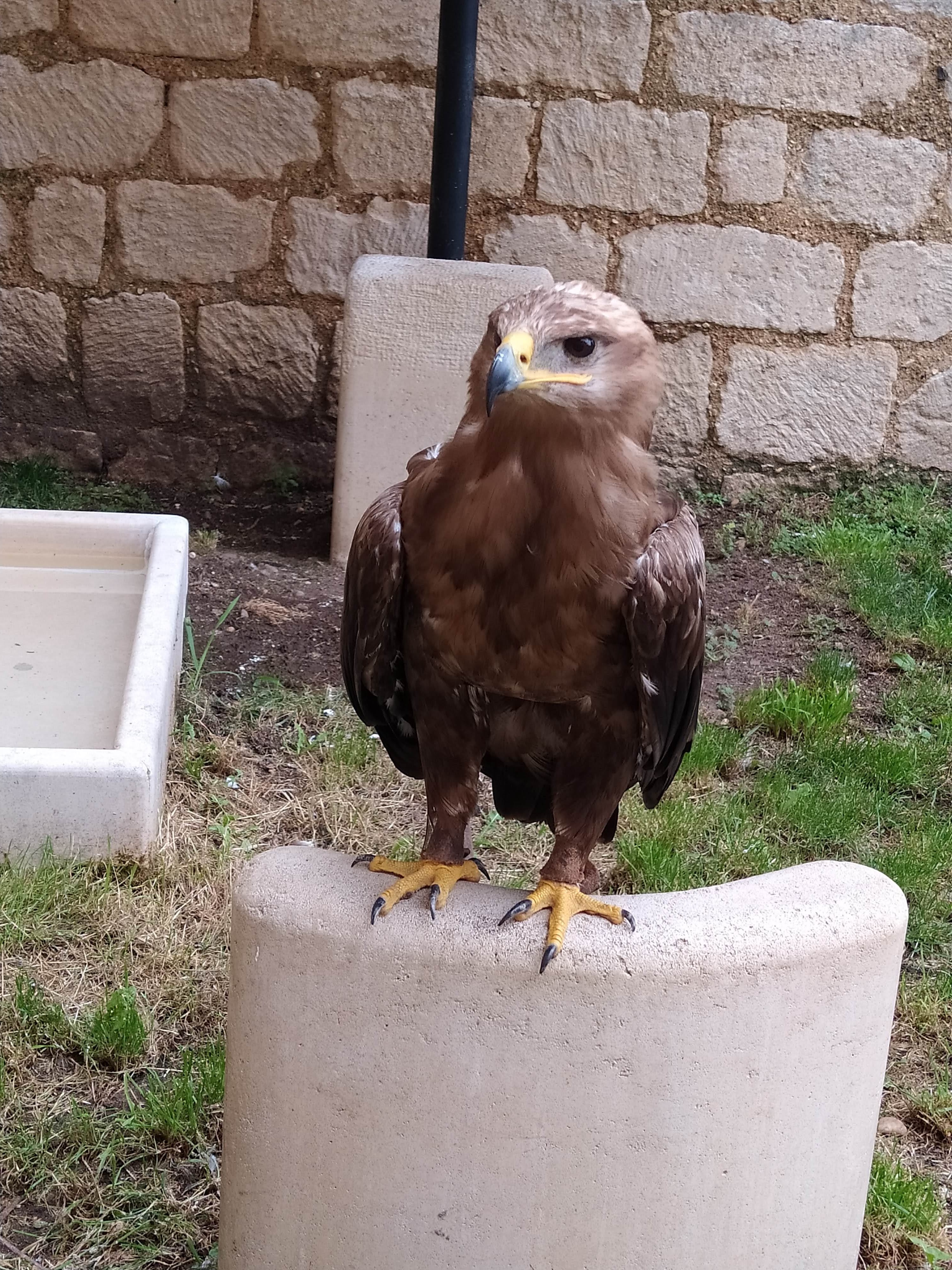 Photo n° 4 de l'avis de Sébastien.E fait le 01/07/2023 à 16:30
