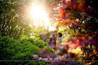 Beyond The Well™ Photography