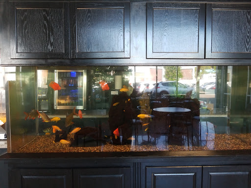 Toyota Dealer «Inver Grove Toyota», reviews and photos, 1037 MN-110, Inver Grove Heights, MN 55077, USA