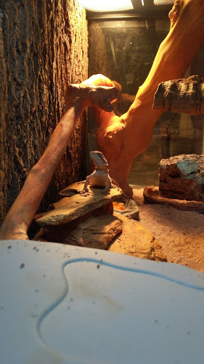 Pet Store «Feed Rite Pet Shop & Supply», reviews and photos, 11760 Belleville Rd, Belleville, MI 48111, USA