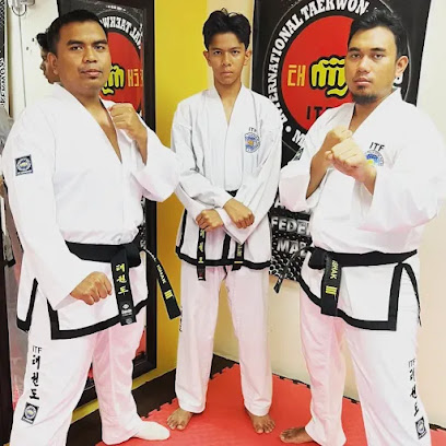 MIQ Taekwondo Academy