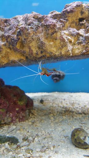 Pet Supply Store «Care-A-Lot Pet Supply Indian River», reviews and photos, 5457 Indian River Rd, Virginia Beach, VA 23464, USA