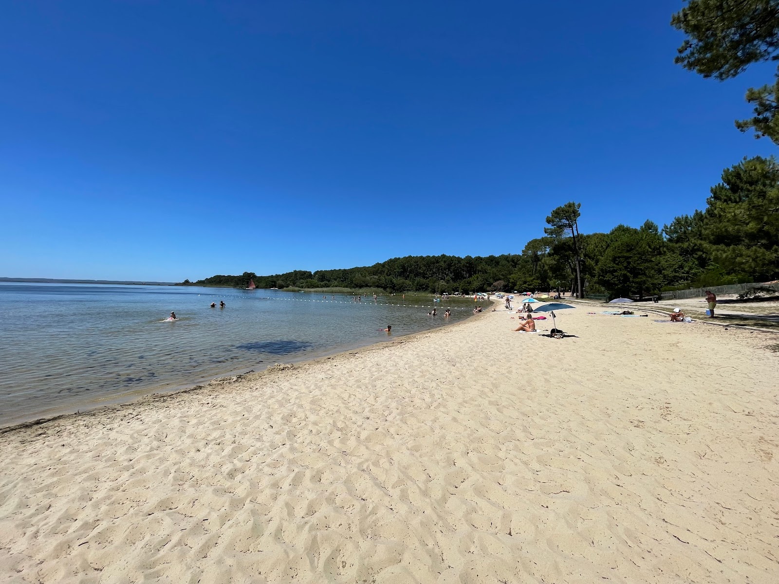 Foto von Sanguinet plage mit geräumige bucht