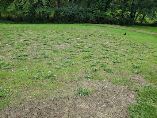 Golf Course «Reston National Golf Course», reviews and photos, 11875 Sunrise Valley Dr, Reston, VA 20191, USA