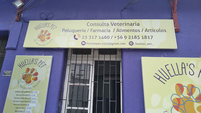 Consulta Veterinaria Huellas Pet