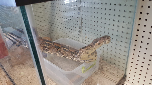 Pet Supply Store «Pets Unlimited», reviews and photos, 1888 Drew St, Clearwater, FL 33765, USA