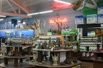 The Ocean Floor - Photo 7 - Car repair in Phoenix, AZ, Phoenix