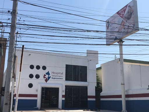Hospital Veterinario Regiomontano