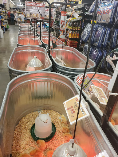 Department Store «Coastal Farm & Ranch», reviews and photos, 1900 McLoughlin Blvd, Oregon City, OR 97045, USA