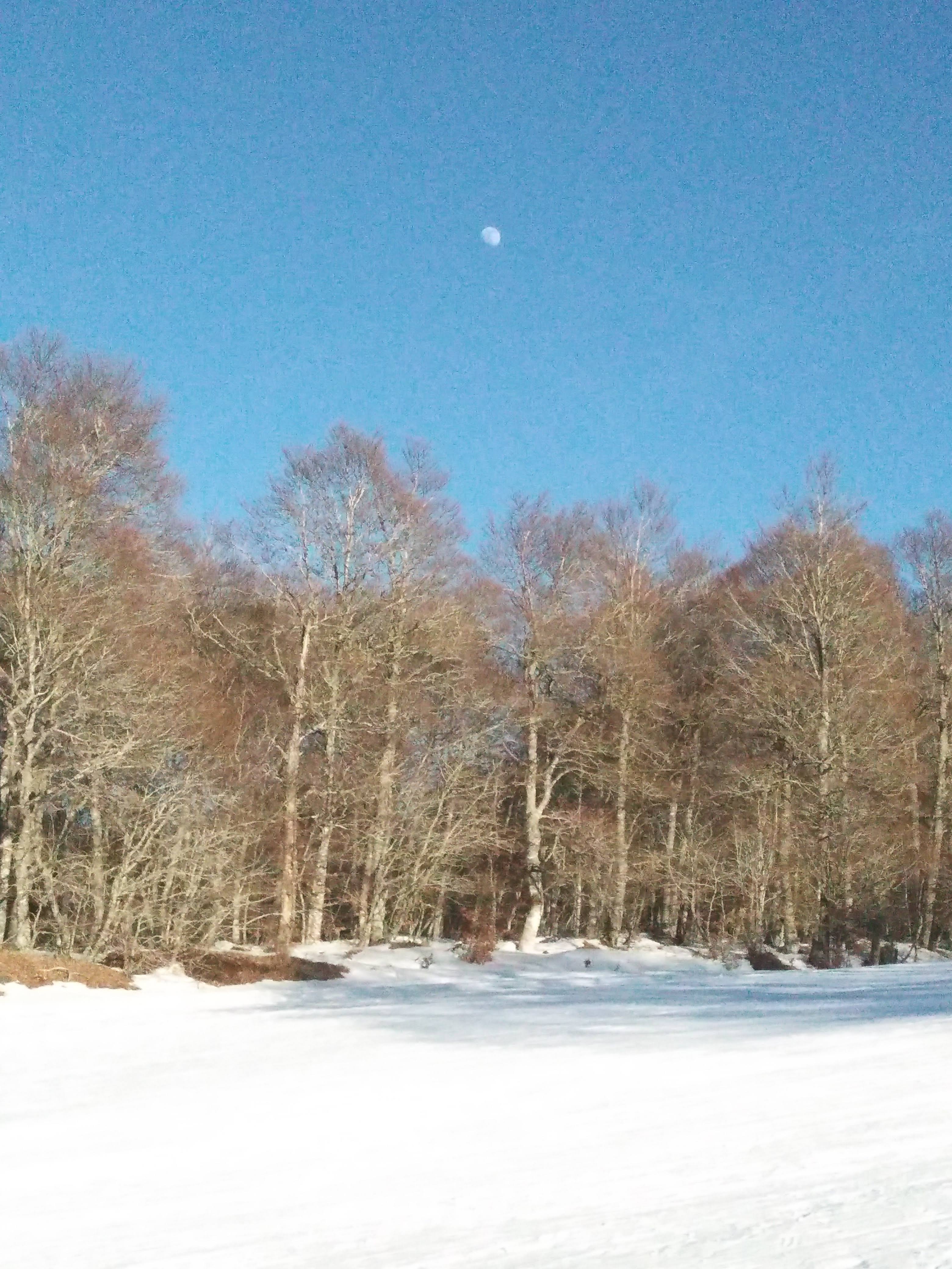 Photo n° 3 de l'avis de Delphine.o fait le 16/02/2019 à 18:08