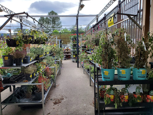 Department Store «Walmart Supercenter», reviews and photos, 100 E Wallace Kneeland Blvd, Shelton, WA 98584, USA