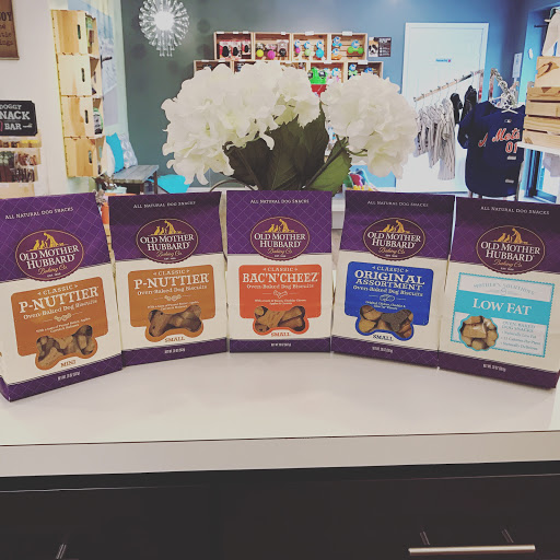 Pet Groomer «Oasis Dog Spa & Shoppe», reviews and photos, 2911 Centre Ave #2, Reading, PA 19605, USA