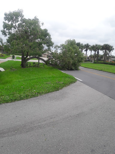 Photo of Capacitor Captains Electrical Services