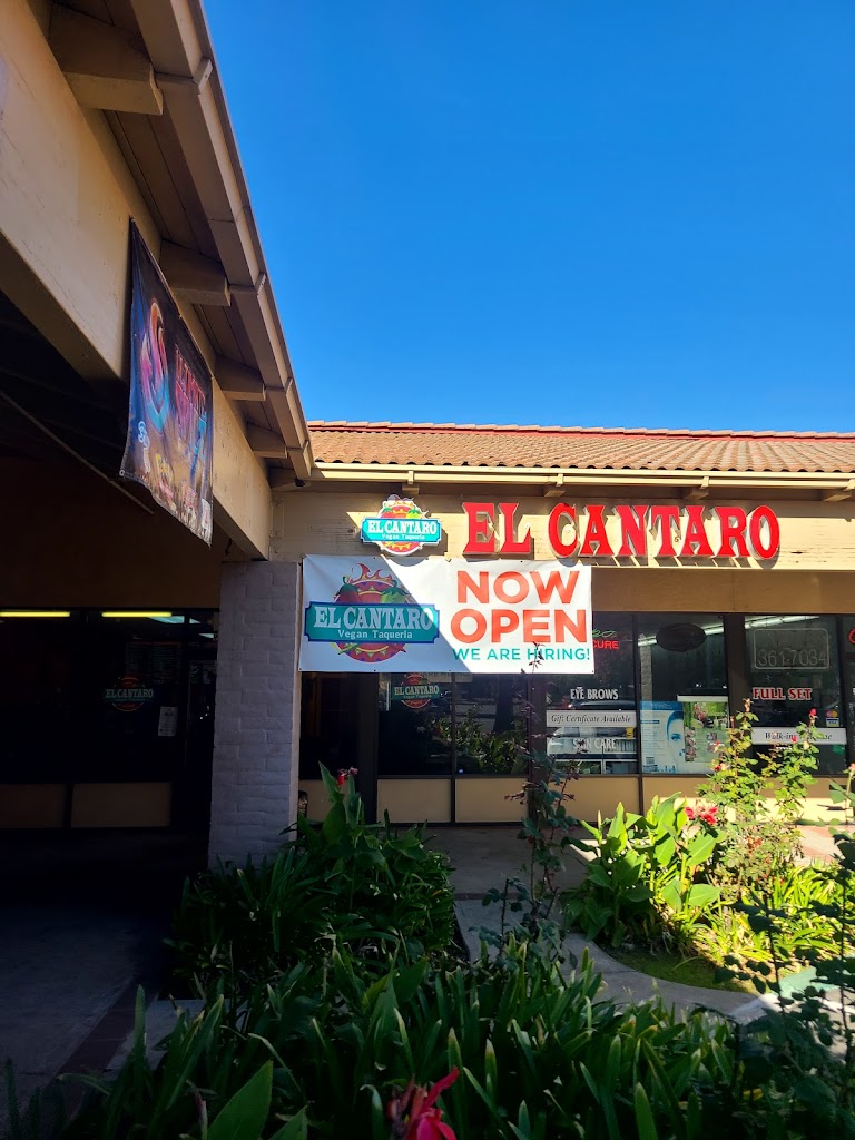 El Cantaro Vegan Taqueria 95826