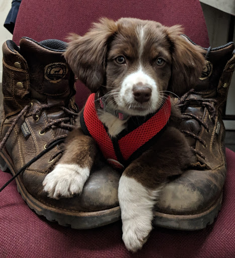 Auto Repair Shop «Rising Sun Motors», reviews and photos, 9001 Rhode Island Ave, College Park, MD 20740, USA