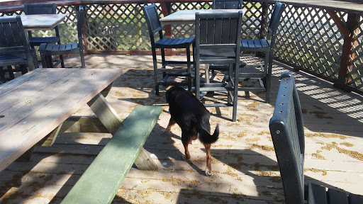 Park «Morse Park Landing», reviews and photos, 4939 US-17 BUS, Murrells Inlet, SC 29576, USA