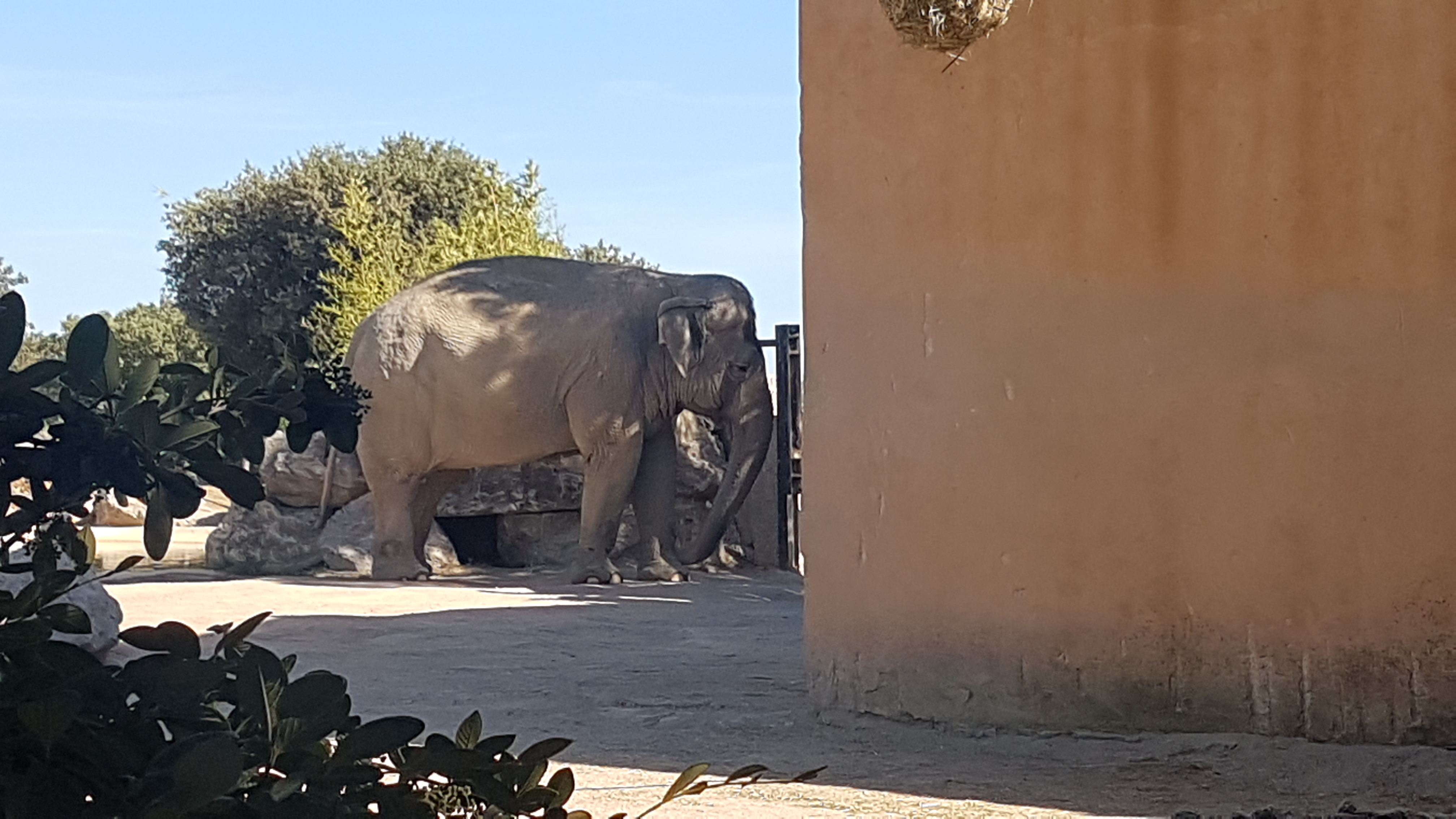 Photo n° 22 de l'avis de Dominique.A fait le 05/08/2017 à 15:53