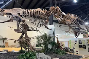 Rocky Mountain Dinosaur Resource Center image