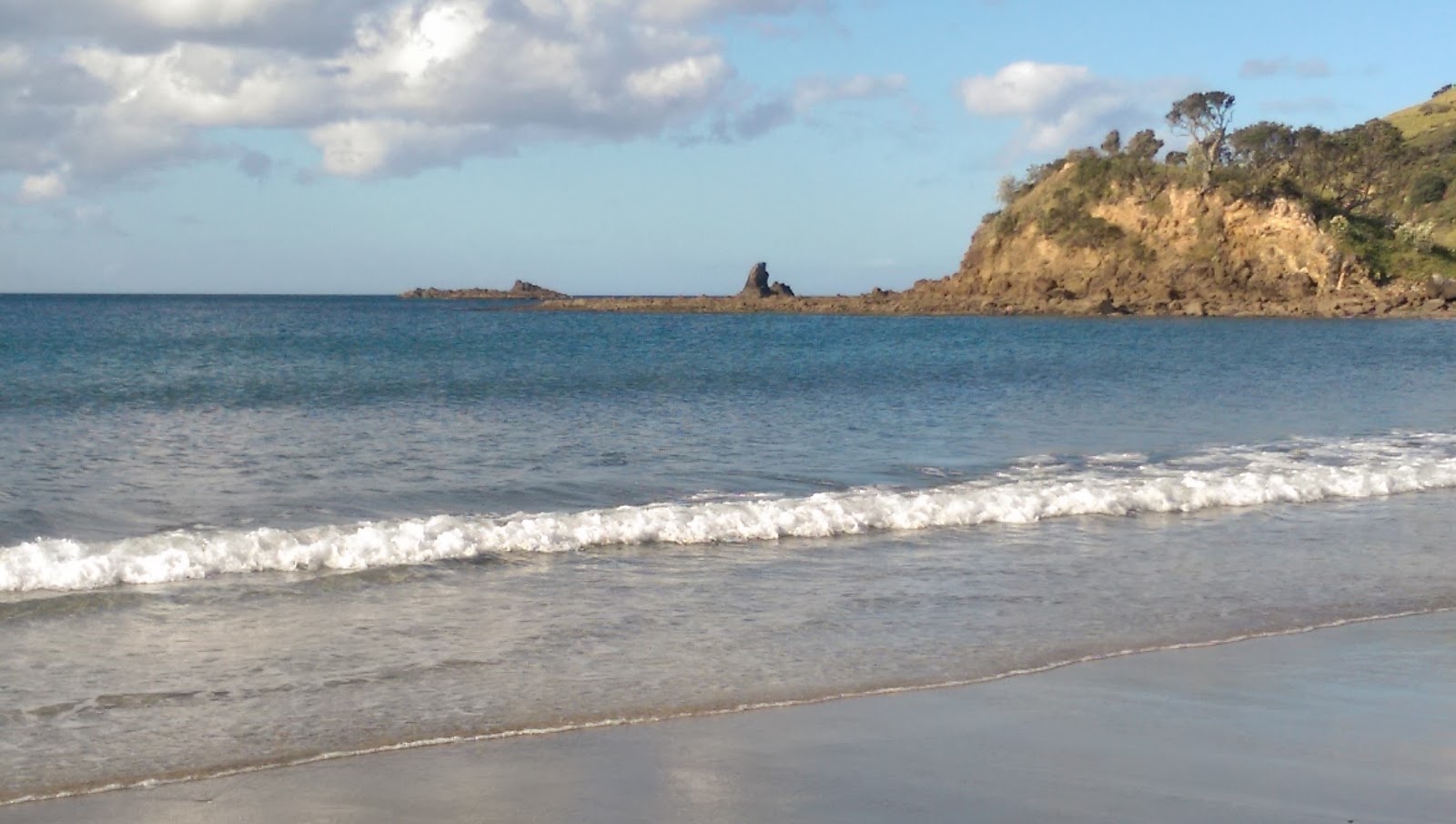 Foto av Medlands Beach med turkos rent vatten yta