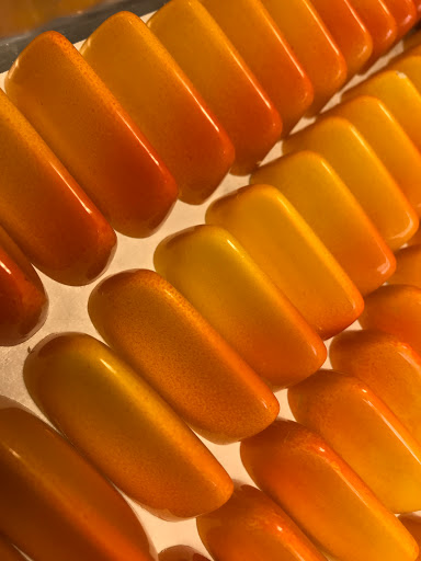 Bakery «Grand Finale Desserts and Pastries», reviews and photos, 225 Franklin Ave, Grand Haven, MI 49417, USA