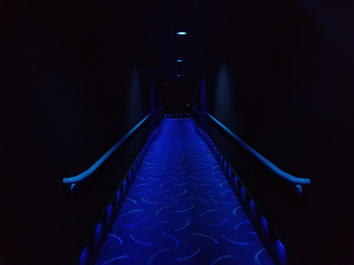 Movie Theater «AMC Cherry Blossom 14», reviews and photos, 3825 Marketplace Cir, Traverse City, MI 49684, USA