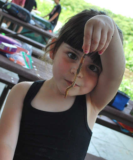 Nature Preserve «Bartlett Nature Center», reviews and photos, 2054 W Stearns Rd, Bartlett, IL 60103, USA