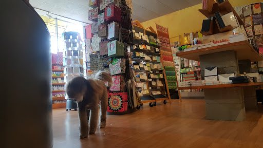 Book Store «Paper Skyscraper», reviews and photos, 330 East Blvd, Charlotte, NC 28203, USA