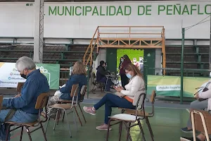 Gimnasio Municipal El Gundal image