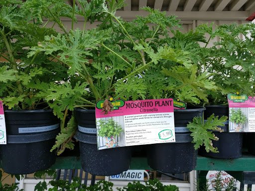 Hardware Store «College Park Ace Hardware Inc», reviews and photos, 3440 Edgewater Dr, Orlando, FL 32804, USA