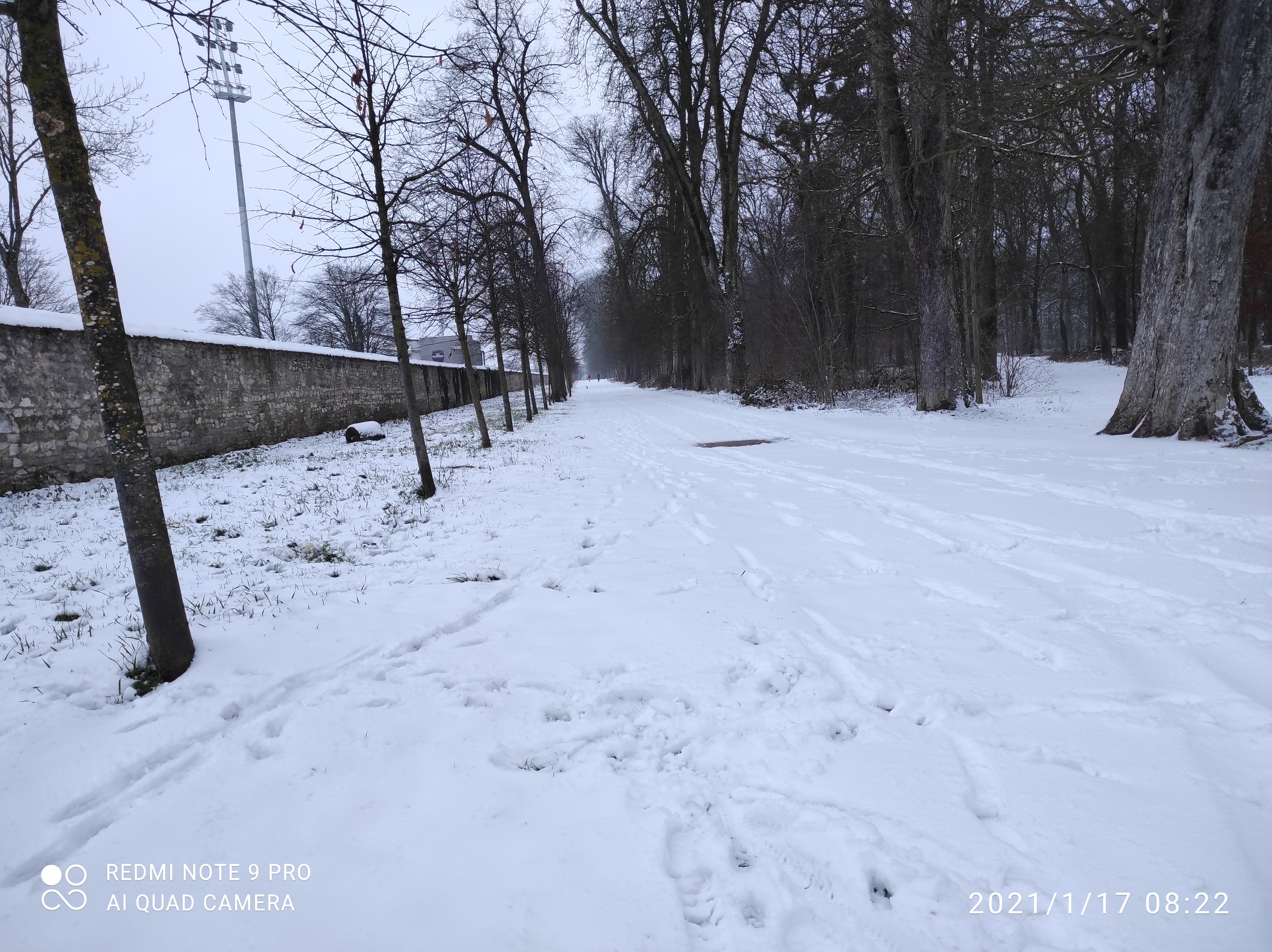 Photo n° 18 de l'avis de AsphaltSTAR. fait le 19/10/2020 à 11:24