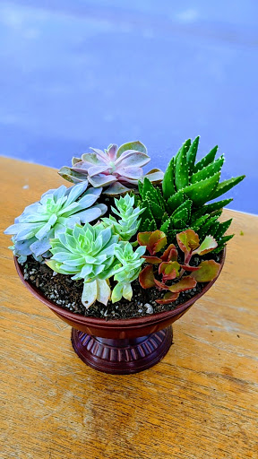 Florist «Burns Florist», reviews and photos, 1414 4th St, San Rafael, CA 94901, USA