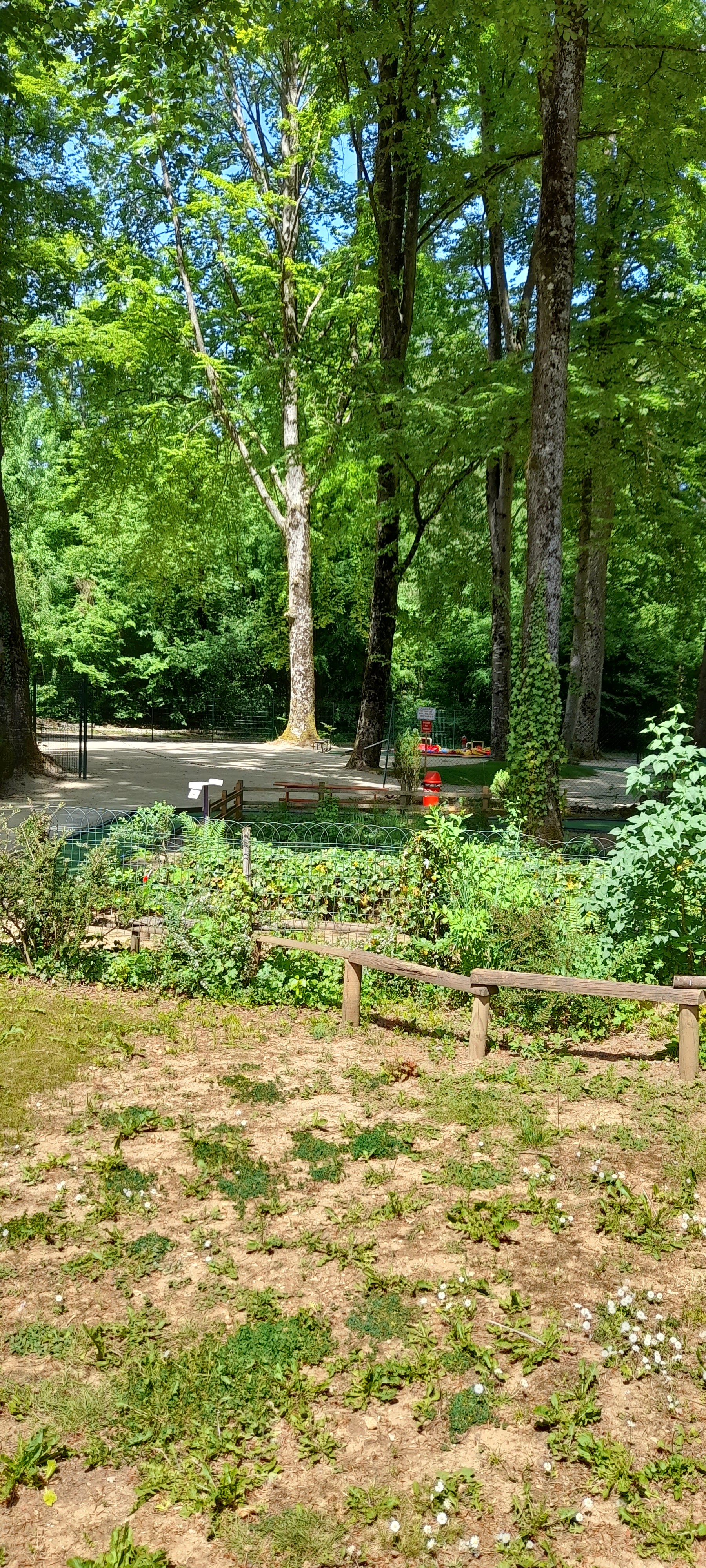 Photo n° 1 de l'avis de anne.e fait le 26/05/2022 à 13:50