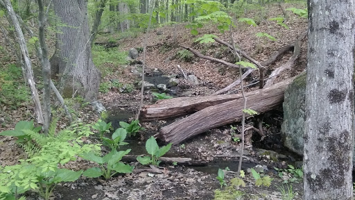 Nature Preserve «Gummere Woods And Marsters Preserve Trail», reviews and photos, 4 Wheeler Rd, North Grafton, MA 01536, USA