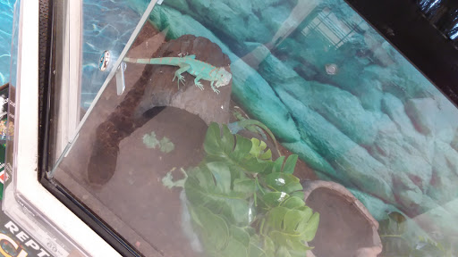 Pet Supply Store «Petco Animal Supplies», reviews and photos, 1201 E Washington Ave, Union Gap, WA 98903, USA