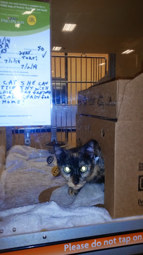Pet Supply Store «PetSmart», reviews and photos, 4374 N Oracle Rd, Tucson, AZ 85705, USA