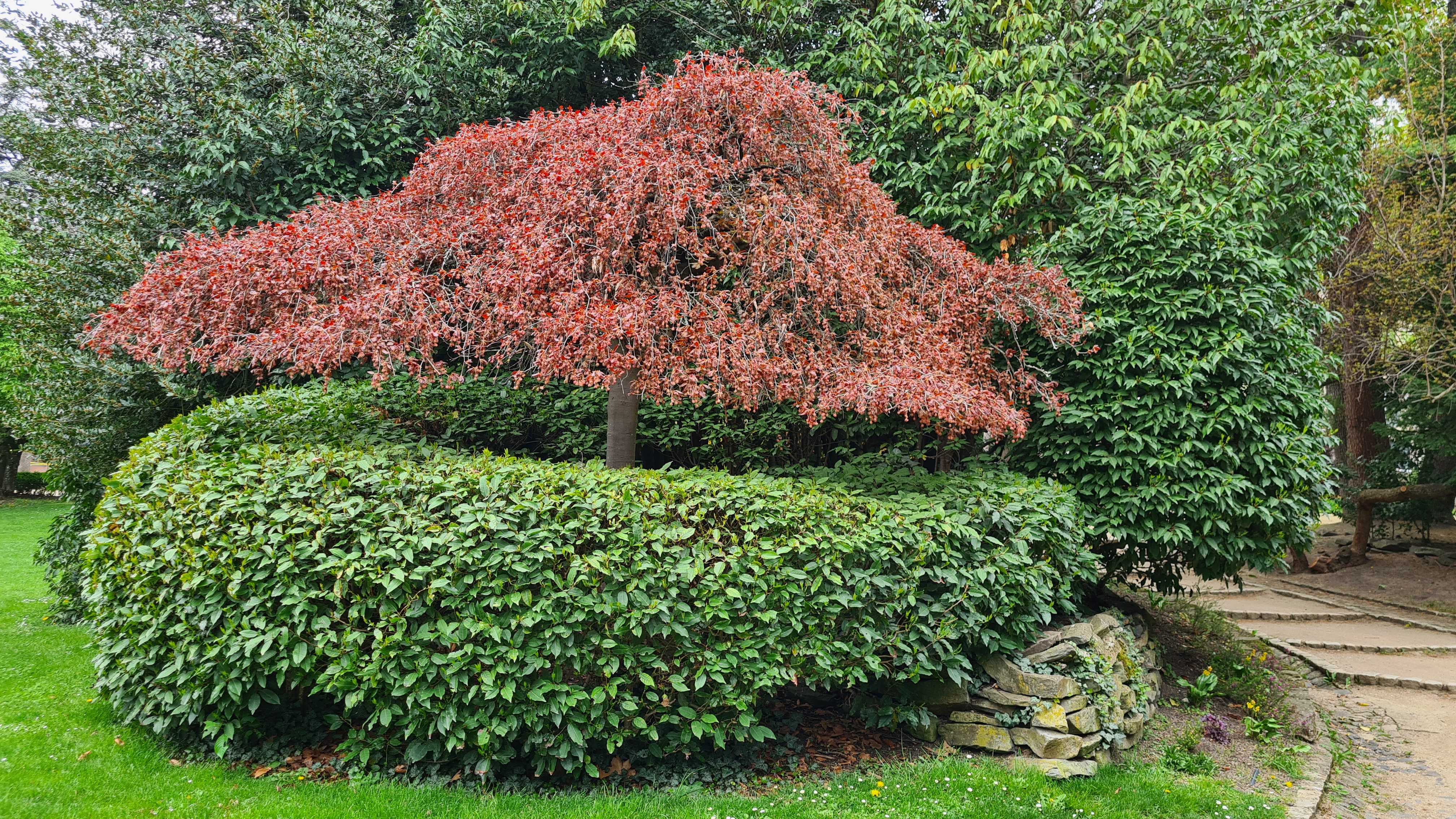 Photo n° 6 de l'avis de sophie.o fait le 01/05/2023 à 19:18