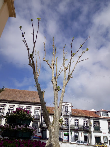 Avaliações doGinginha em Angra do Heroísmo - Cafeteria