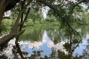 Flusslandschaft am Main image