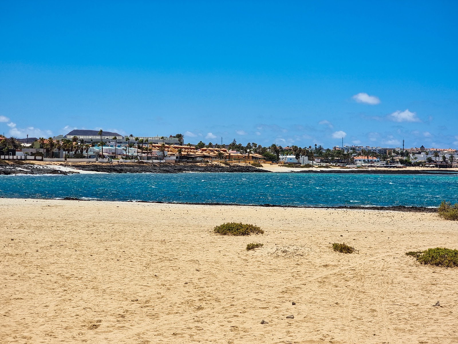 Playa Vista Lobos photo #6