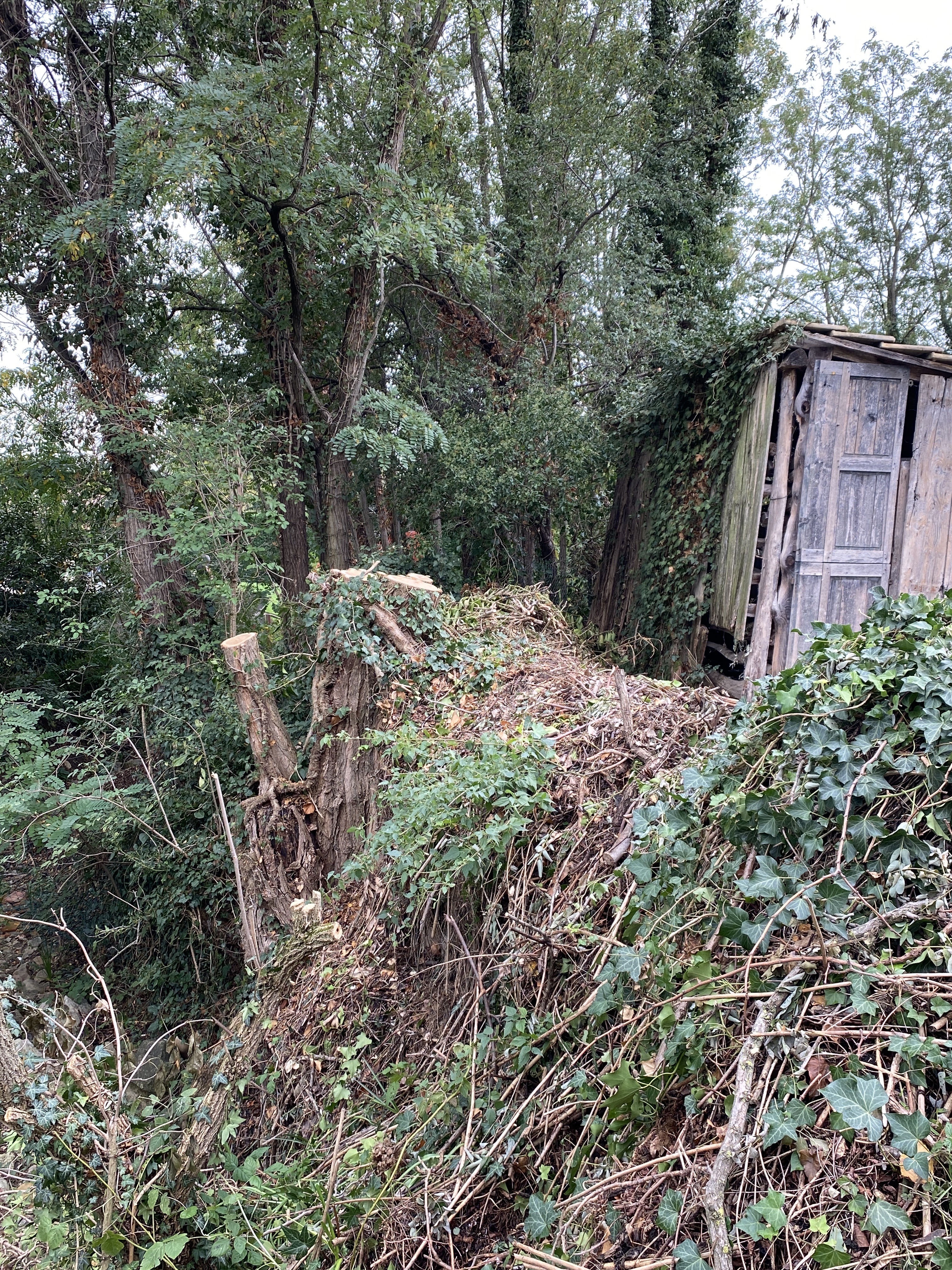 Photo n° 1 de l'avis de kelly.e fait le 25/10/2022 à 13:23