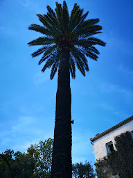 Photo n°30 de Le Mas des Géraniums à Opio ()