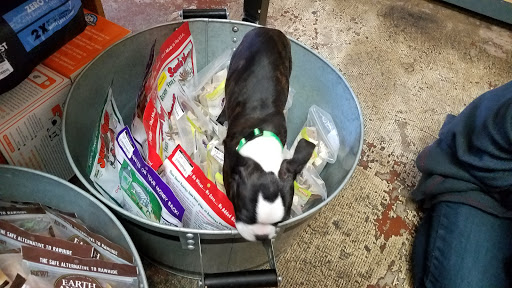 Pet Supply Store «Rosie Bunny Bean Urban Pet Provisions», reviews and photos, 1309 N Ave 51, Highland Park, CA 90042, USA