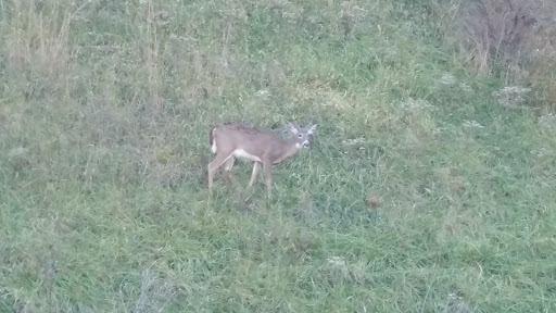 Resort «Mardi Gras Casino & Resort», reviews and photos, Greyhound Dr, Cross Lanes, WV 25313, USA